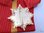 Gran Cruz Merito Naval distintivo rojo con banda y venera