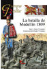 La batalla de Medellín 1809