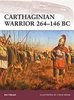 Carthaginian warrior 264-146 BC