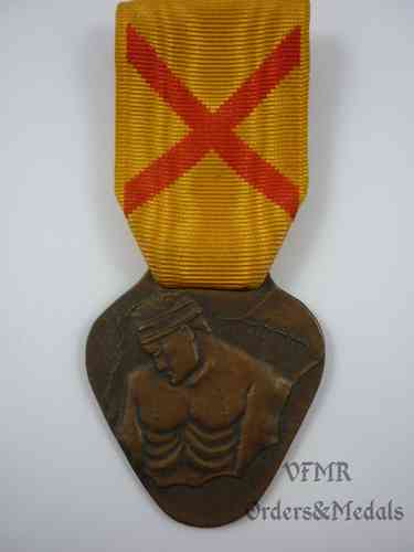 Медаль за страдания за родину
