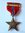 Bronze Star mit Etui