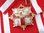 Grand Cross Air Force Merit red with sash